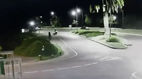 Video: un carpincho 'bajó' a un motociclista en Nordelta