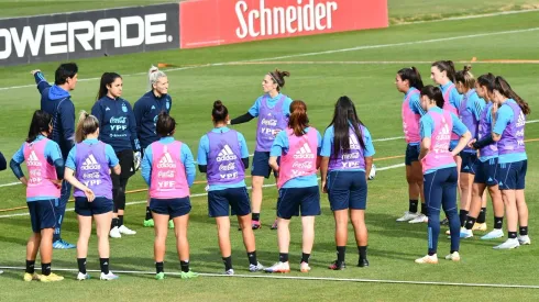 Portanova ya tiene 21 citadas,