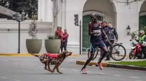 Iba primero en el Maratón de Buenos Aires, un perro lo mordió y en Kenia se armó un escándalo