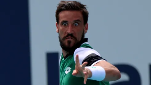 Damir Dzumhur
