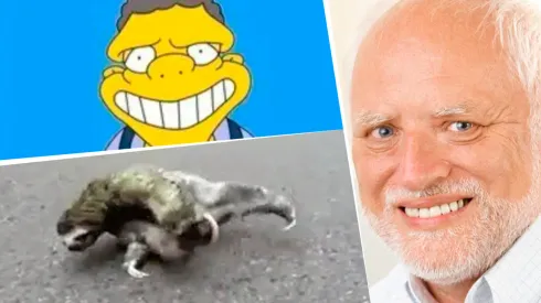 Los hinchas compartieron una gran cantidad de memes.