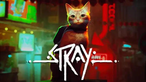 Stray: Requisitos mínimos y recomendados en PC