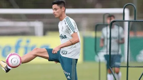 Foto: Cesar Greco/ Ag. Palmeiras / Divulgação
