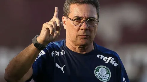 Luxa está em sua quinta passagem pelo Palmeiras – (Foto: Cesar Greco)
