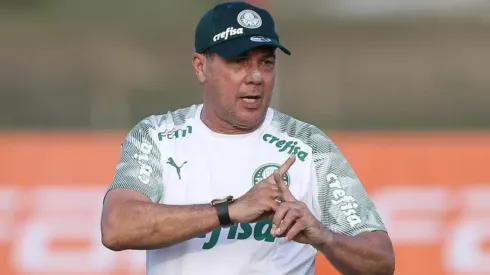 Meio-campista ganha confiança de Luxa no Palmeiras