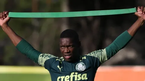 Foto: Cesar Greco/Palmeiras.
