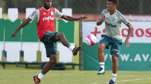 Defensor do Palmeiras é procurado pelo Real Salt Lake-EUA