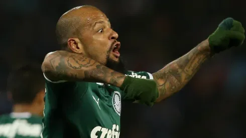 Felipe Melo comemorando gol pelo Palmeiras — (Foto: Cesar Greco/Palmeiras)
