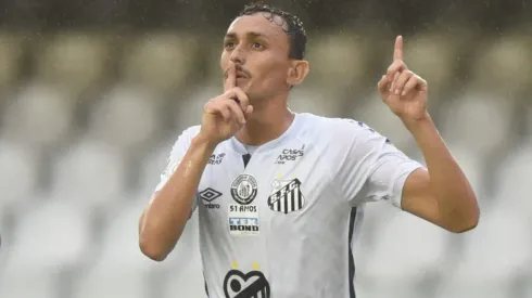 Foto: Ivan Storti/Santos FC
