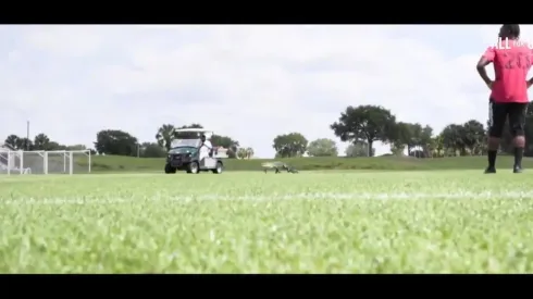 Jacaré invadiu treino do Toronto FC nos EUA