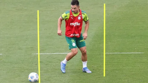 Cesar Greco/Palmeiras