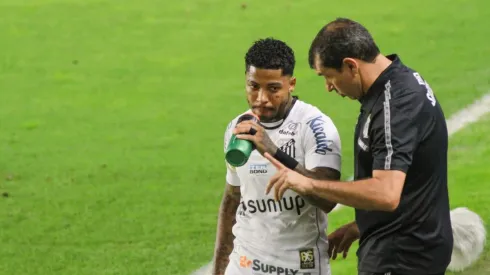 Carille e Marinho conversando em duelo do Santos (Foto: Fernanda Luz/AGIF)
