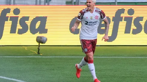 Pedro anotou gol contra o Palmeiras no Brasileirão (Foto: Marcelo Zambrana)
