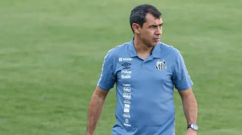Foto: Luiz Erbes/AGIF – Fábio Carille, treinador do Santos
