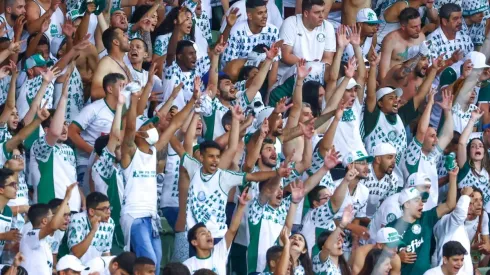 Torcida do Palmeiras poderá comprar ingressos para as partidas do Mundial a partir deste domingo (2)
