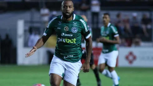 Foto: Joao Vitor Rezende Borba/AGIF |  Reynaldo foi titular absoluto na disputa do Brasileirão Série B
