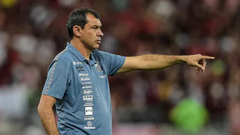 Foto: Thiago Ribeiro/AGIF – Fábio Carille, treinador do Santos
