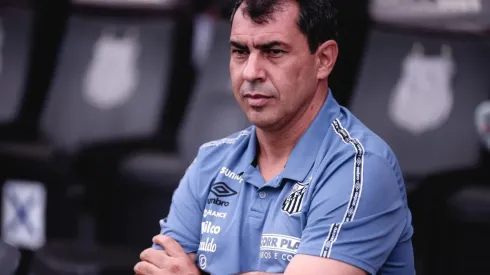 Foto: (Ettore Chiereguini/AGIF) – Fábio Carille não esconde que deseja a contratação de um volante para ser titular no Santos
