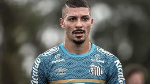 Foto: Ivan Storti/Santos FC
