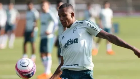 Fernando em ação com a camisa do Palmeiras, antes de ser vendido ao Shakhtar (Foto: César Greco/Palmeiras)
