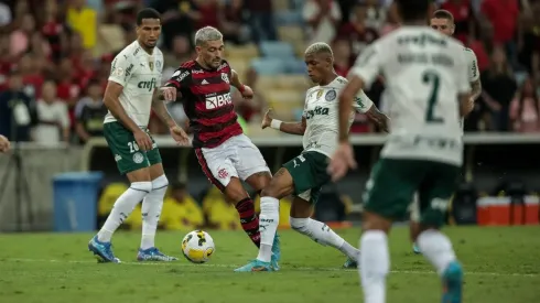 AGIF. Palmeiras e Flamengo foram os finalistas da última edição da Libertadores
