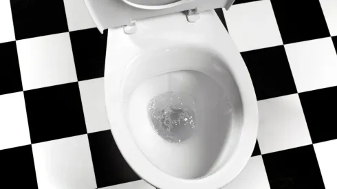 Um vaso sanitário. Foto: Peter Dazeley/Getty Images
