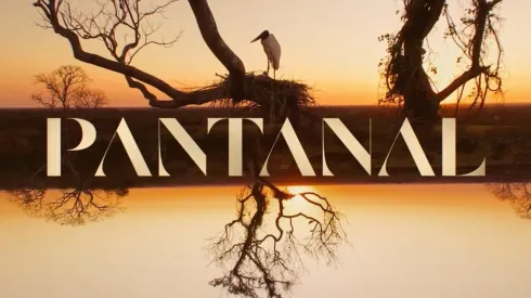 Amigos se encontram todo dia em bar para assistir 'Pantanal'. Imagem: Reprodução TV Globo
