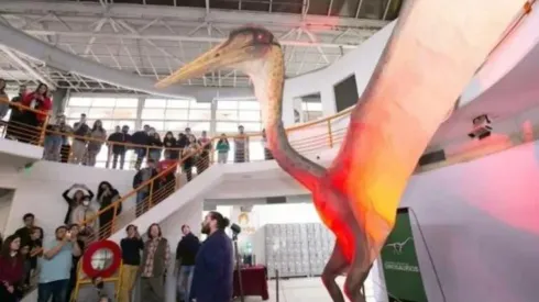 Pterossauros viveram entre 146 milhões e 66 milhões de anos. Foto: Reprodução/MEF
