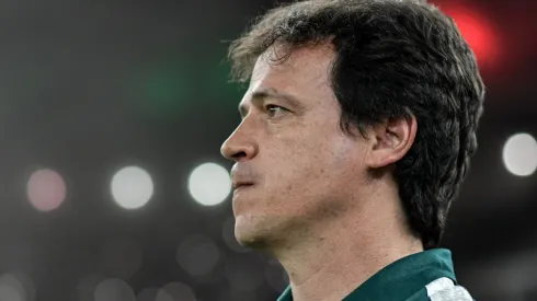 Fernando Diniz, técnico do Fluminense (Foto: Thiago Ribeiro/AGIF)
