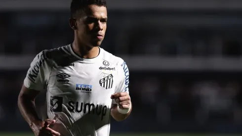 Sandry tem ganhado oportunidades no Santos (Foto: Ettore Chiereguini/AGIF)