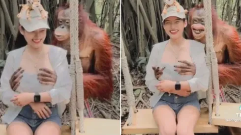 Dararat Suwanmai levou uma "apalpada" de um orangotango em vídeo que viralizou
