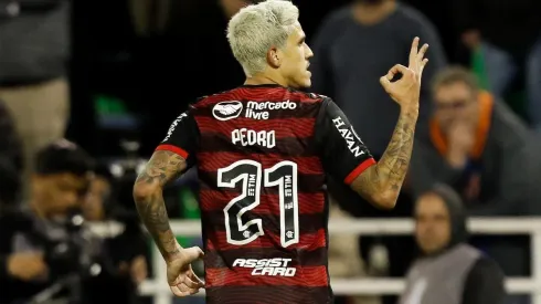 Flamengo x Ceará, prognóstico do jogo da 25ª rodada do Brasileirão (Foto: Gilvan de Souza/Flamengo)
