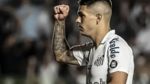 Foto: Ivan Storti/Santos FC – Rodrigo Fernández deve ser adquirido em definitivo pelo Santos
