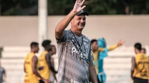 Santos x Goiás, o técnico Lisca comanda o Peixe contra o Goiás (Foto: Ivan Storti/Santos FC)
