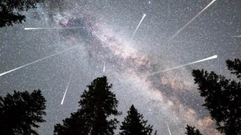 Imagem: Reprodução/Pixabay