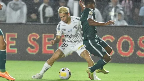 Foto: Ivan Storti/Santos FC
