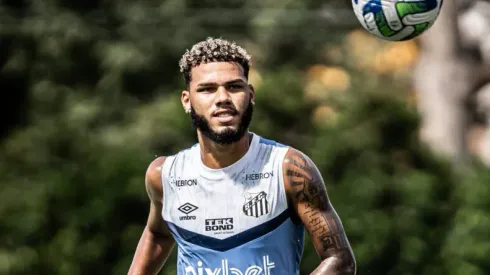 Foto: Raul Baretta/Santos FC – Nathan, lateral-direito
