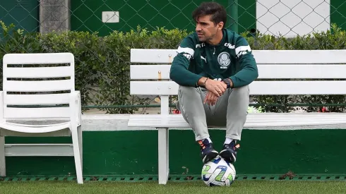 Jornalista volta a cutucar Abel e entra em rota de colisão com a torcida do Palmeiras