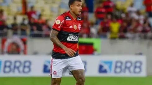 Foto: Marcelo Cortes/Flamengo