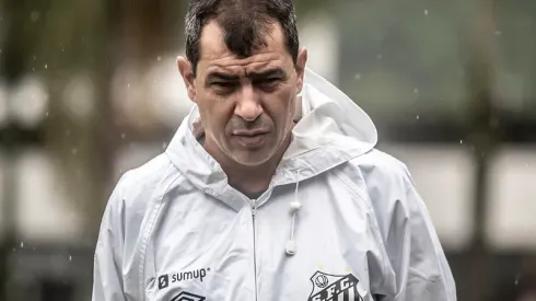 Carille está na mira do Santos - Foto: Ivan Storti/Santos FC