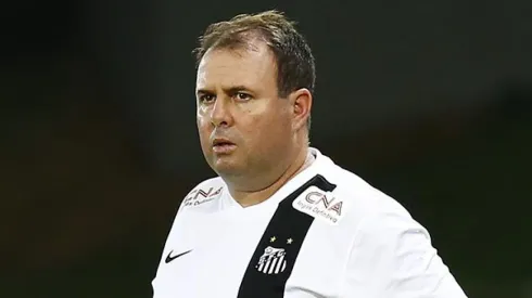 Foto: Ricardo Saibun / Divulgação SantosFC