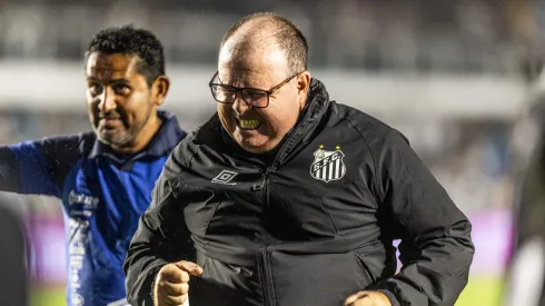 SP – SANTOS – 01/10/2023 – BRASILEIRO A 2023, SANTOS X VASCO – Marcelo Fernandes tecnico do Santos durante partida contra o Vasco no estadio Vila Belmiro pelo campeonato Brasileiro A 2023. Foto: Abner Dourado/AGIF
