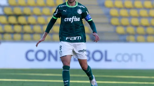 P. Lima repercute no Palmeiras com lance que conseguiu pela 1ª vez