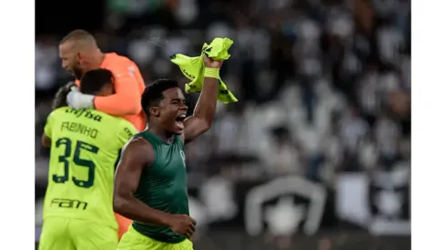 Foto: Thiago Ribeiro/AGIF – Endrick celebrando vitória do Palmeiras contra o Botafogo
