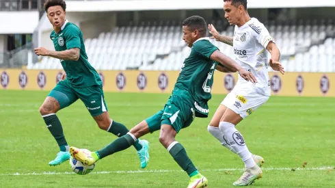 Goias durante partida contra o Santos no estadio Vila Belmiro pelo campeonato Brasileiro A 2023. Fernanda Luz/AGIF
