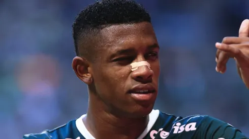 Foto: Ettore Chiereguini/AGIF - Danilo em partida do Palmeiras pelo Campeonato Brasileiro de 2022