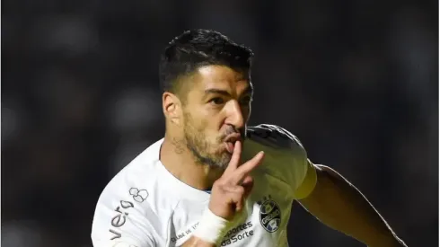 Suárez comemora gol pelo Grêmio. Fotos: Alexandre Durão/Grêmio FBPA