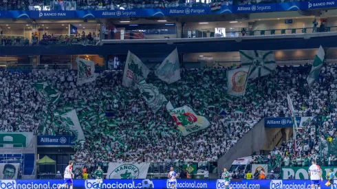 Torcida do Palmeiras durante partida contra Fortaleza no estadio Arena Allianz Parque pelo campeonato Copa do Brasil 2023. Foto: Ettore Chiereguini/AGIF
