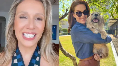 Luisa Mell se solidariza e fala sobre ação do cão Joaquim, adotado por Ana Hickmann. Foto: Reprodução/Instagram – Luisa Mell (Imagem 1)/ Reprodução/Instagram – Ana Hickmann (Imagem 2)
