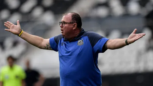 Marcelo Fernandes, técnico do Santos, durante partida contra o Botafogo no Engenhão pelo Campeonato Brasileiro – Foto: Thiago Ribeiro/AGIF
